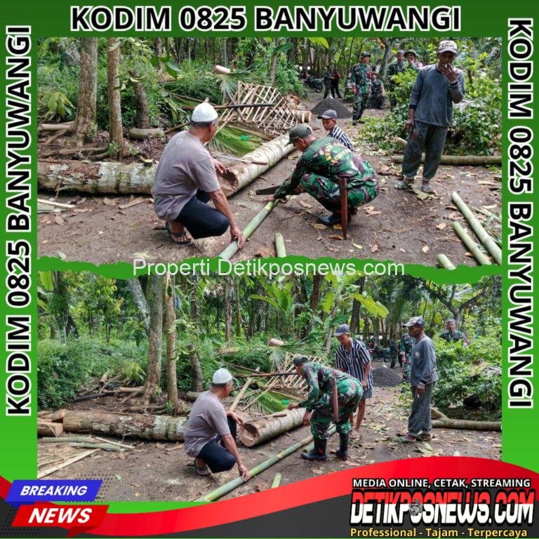 InCollage_20251109_225623628_copy_1024x1024