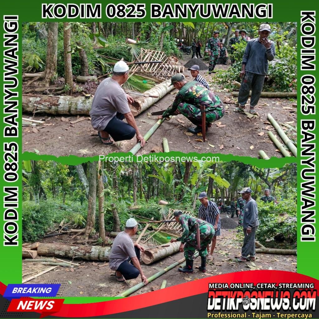 InCollage_20251109_225623628_copy_1024x1024