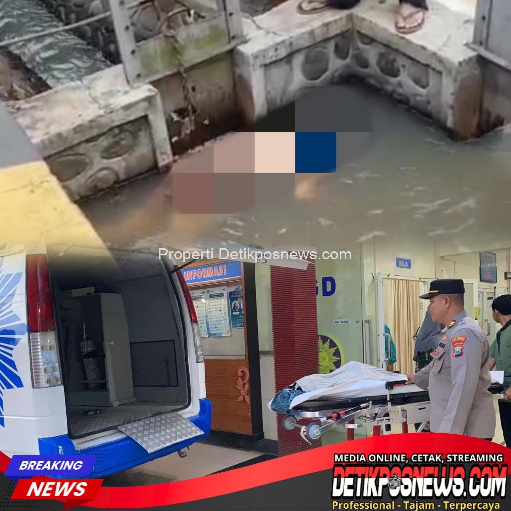 InCollage_20251111_113521540_copy_1024x1024