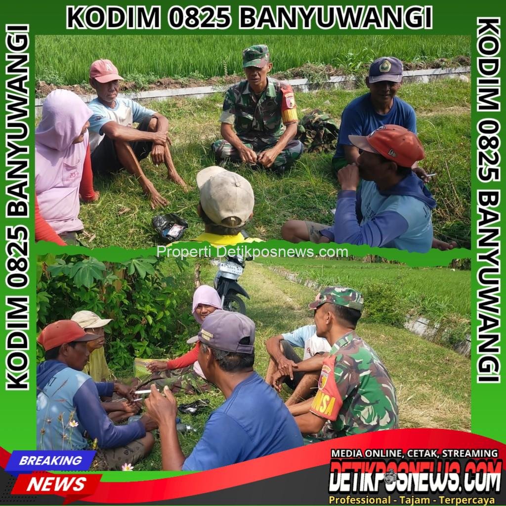 InCollage_20251111_165524569_copy_1024x1024