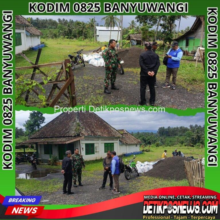 InCollage_20251112_144457485_copy_1024x1024