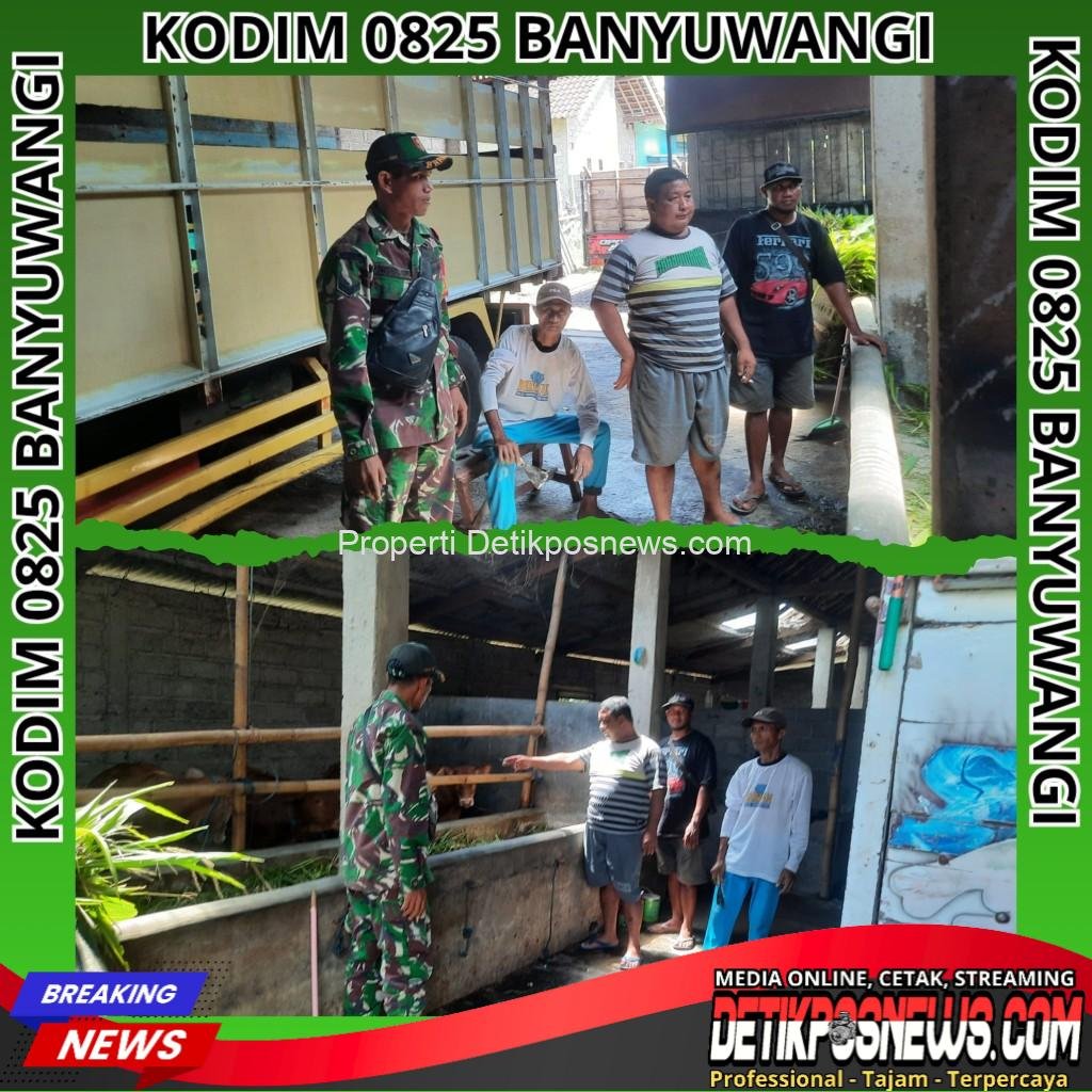 InCollage_20251112_145028335_copy_1024x1024