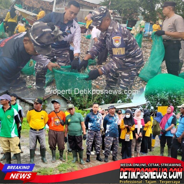 InCollage_20251114_131438052_copy_1024x1024