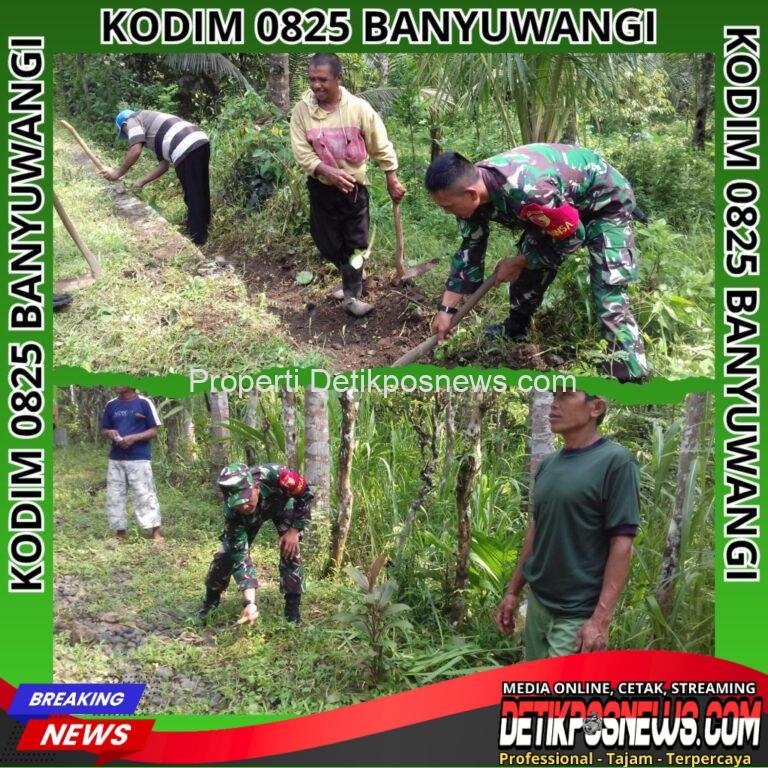 InCollage_20251114_182041294_copy_1024x1024