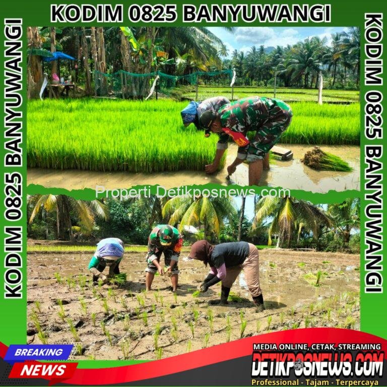 InCollage_20251114_182450737_copy_1024x1024