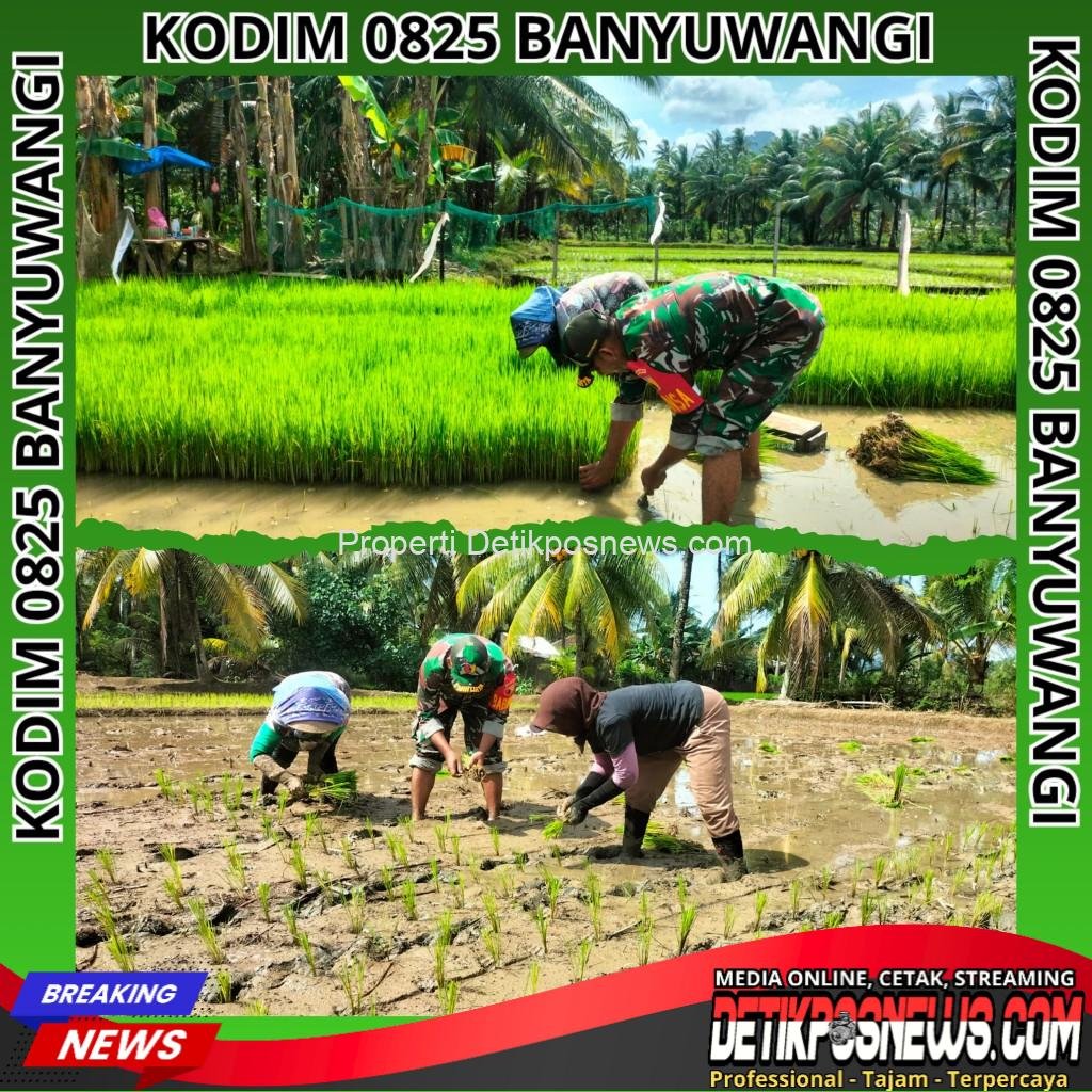 InCollage_20251114_182450737_copy_1024x1024