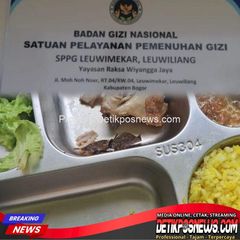 InCollage_20251115_220150378_copy_1024x1024