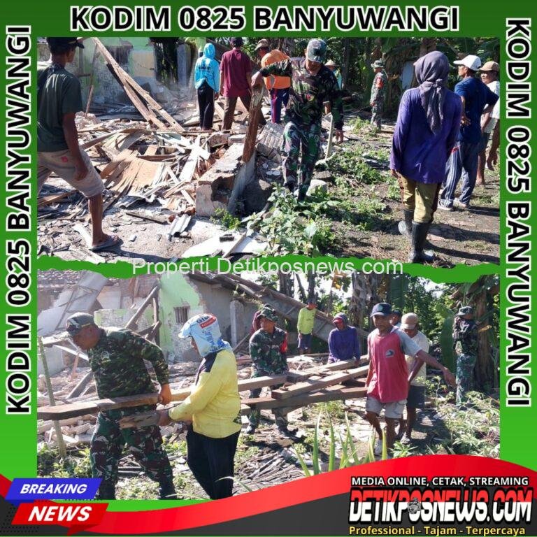 InCollage_20251117_102146474_copy_1024x1024