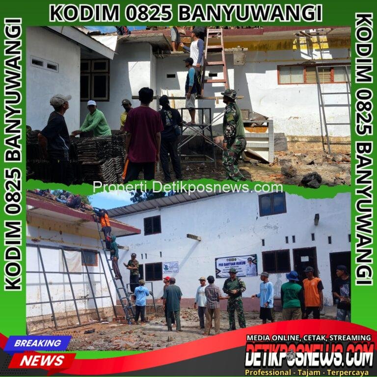 InCollage_20251117_102814686_copy_1024x1024