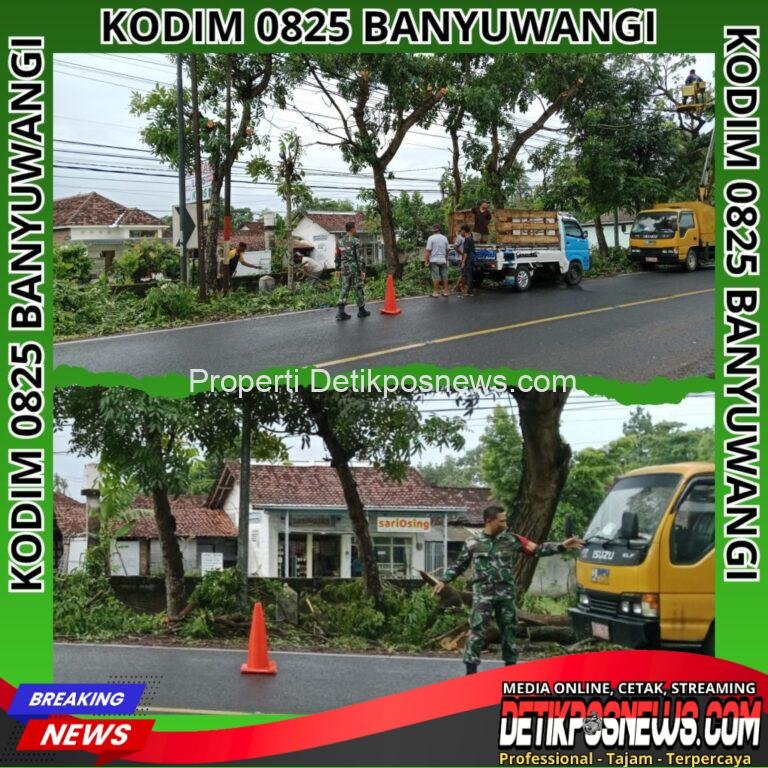 InCollage_20251118_192436078_copy_1024x1024