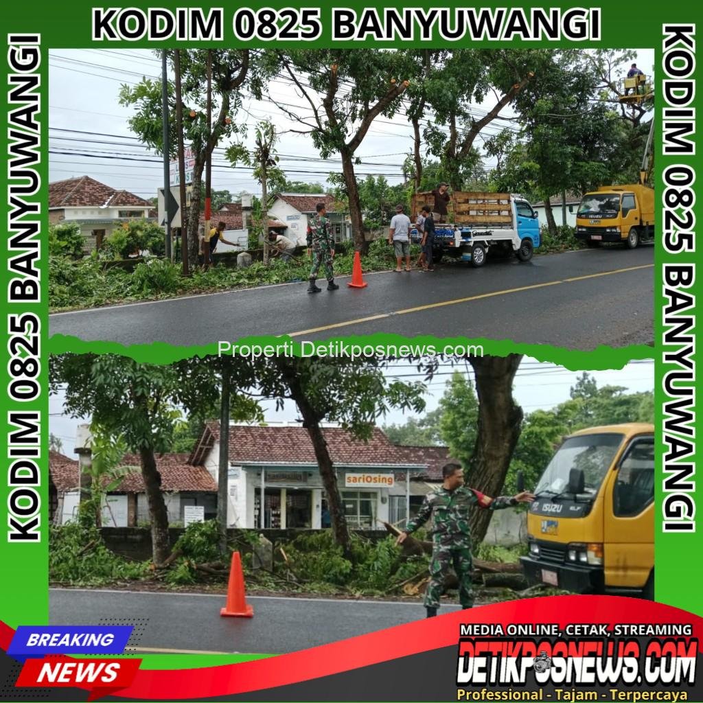 InCollage_20251118_192436078_copy_1024x1024