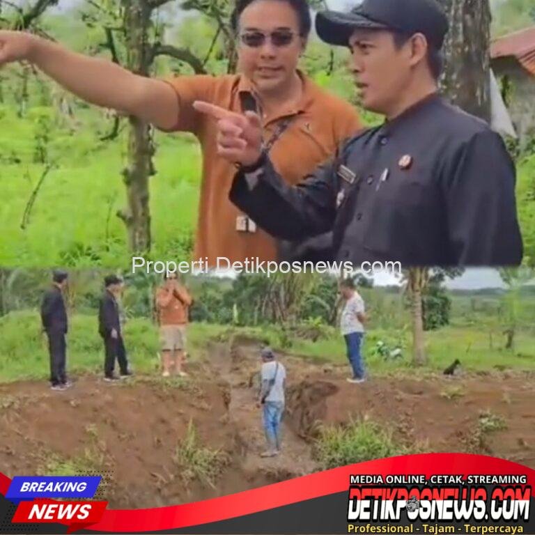 InCollage_20251119_153319548_copy_1024x1024