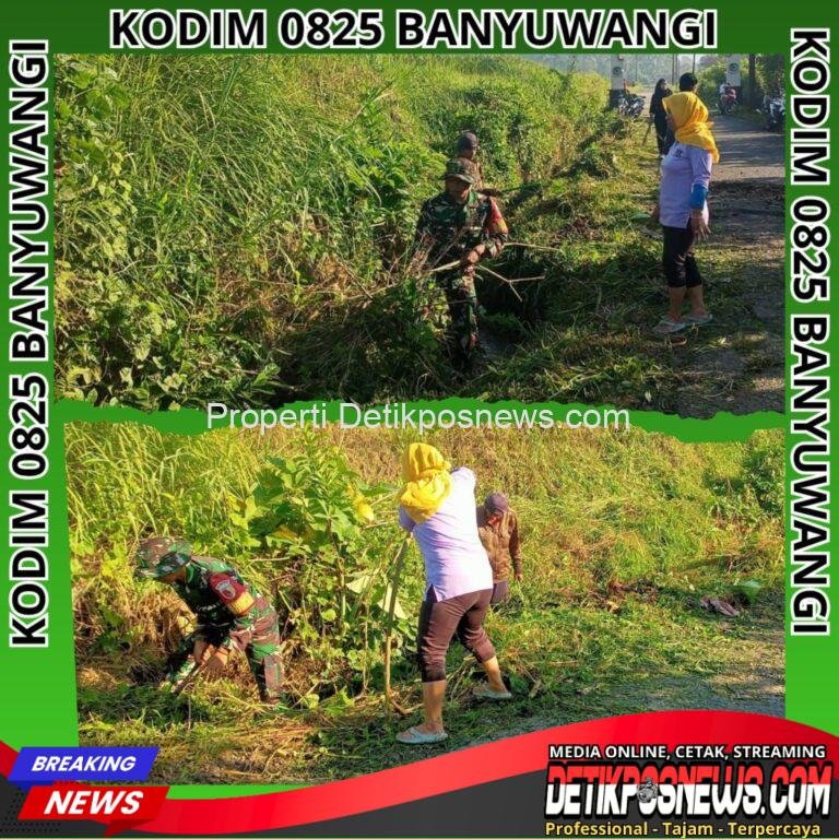 InCollage_20251120_231549178_copy_1024x1024