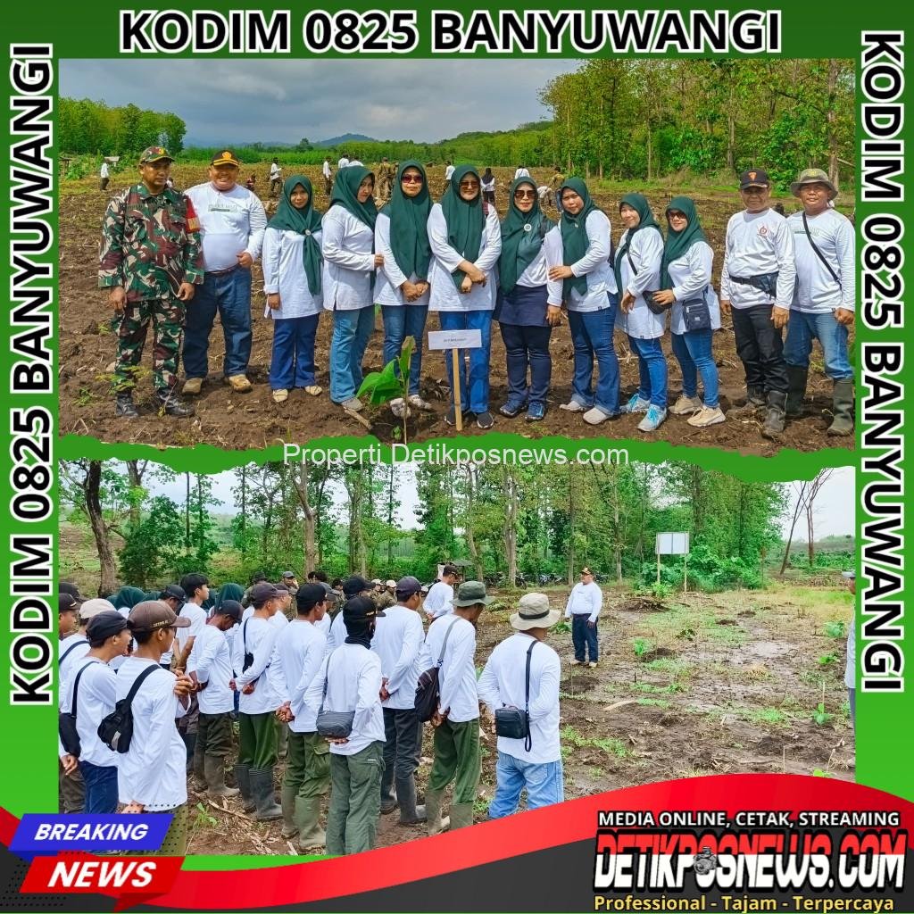 InCollage_20251123_190159231_copy_1024x1024