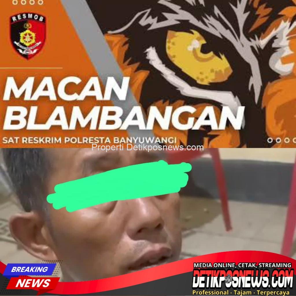 InCollage_20251124_171551483_copy_1024x1024