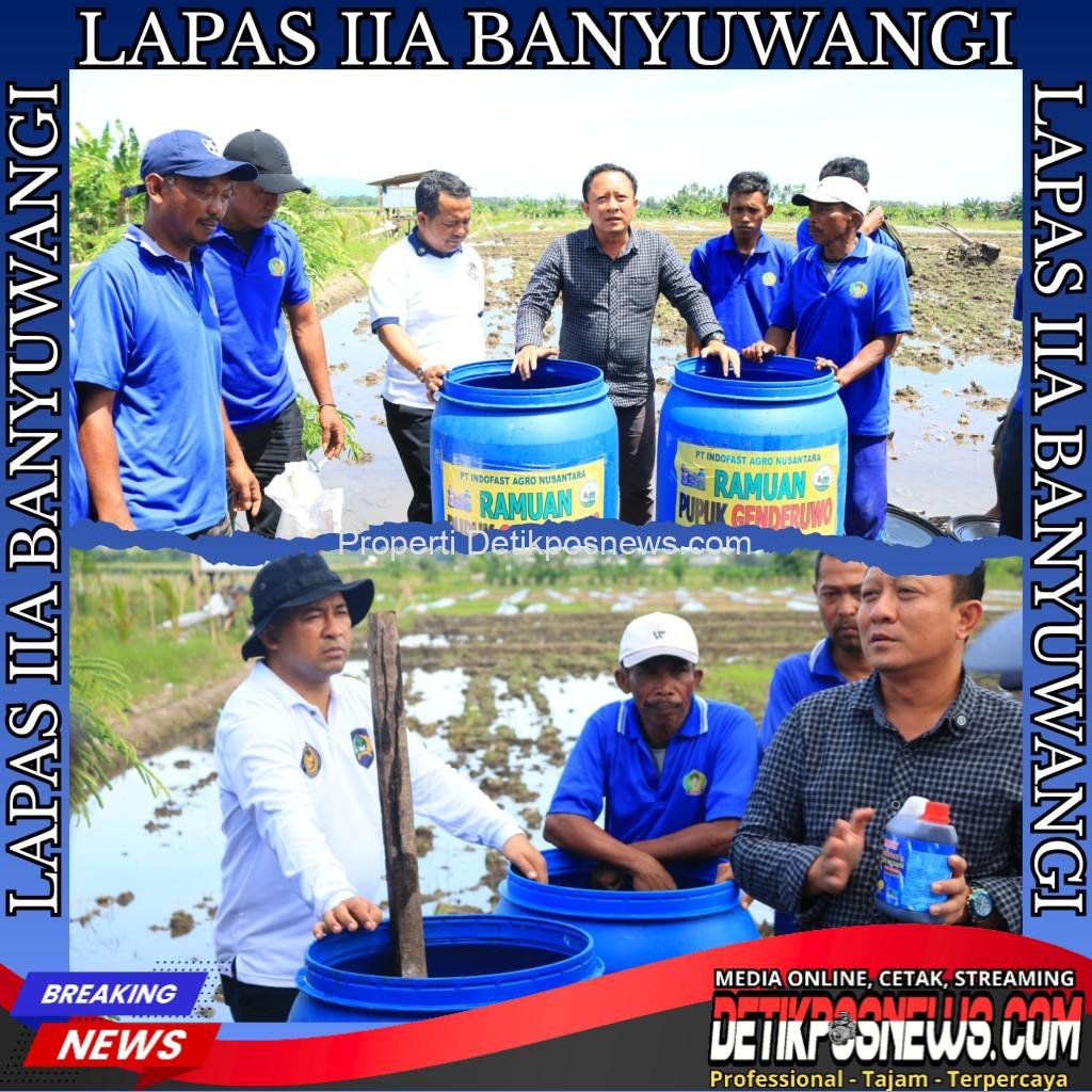 InCollage_20251125_162927539_copy_1024x1024