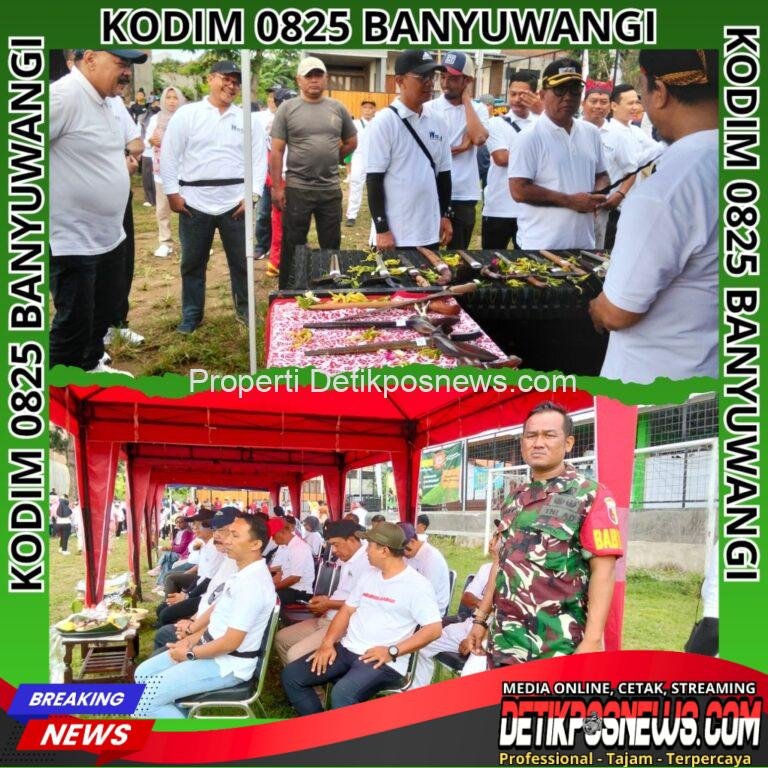 InCollage_20251125_224733047_copy_1024x1024