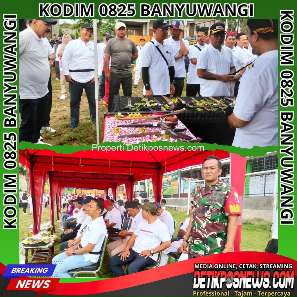 InCollage_20251125_224733047_copy_1024x1024