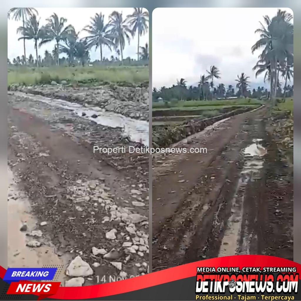 InCollage_20251128_120248027_copy_1024x1024