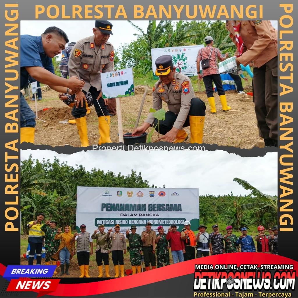 InCollage_20251216_180132430_copy_1024x1024