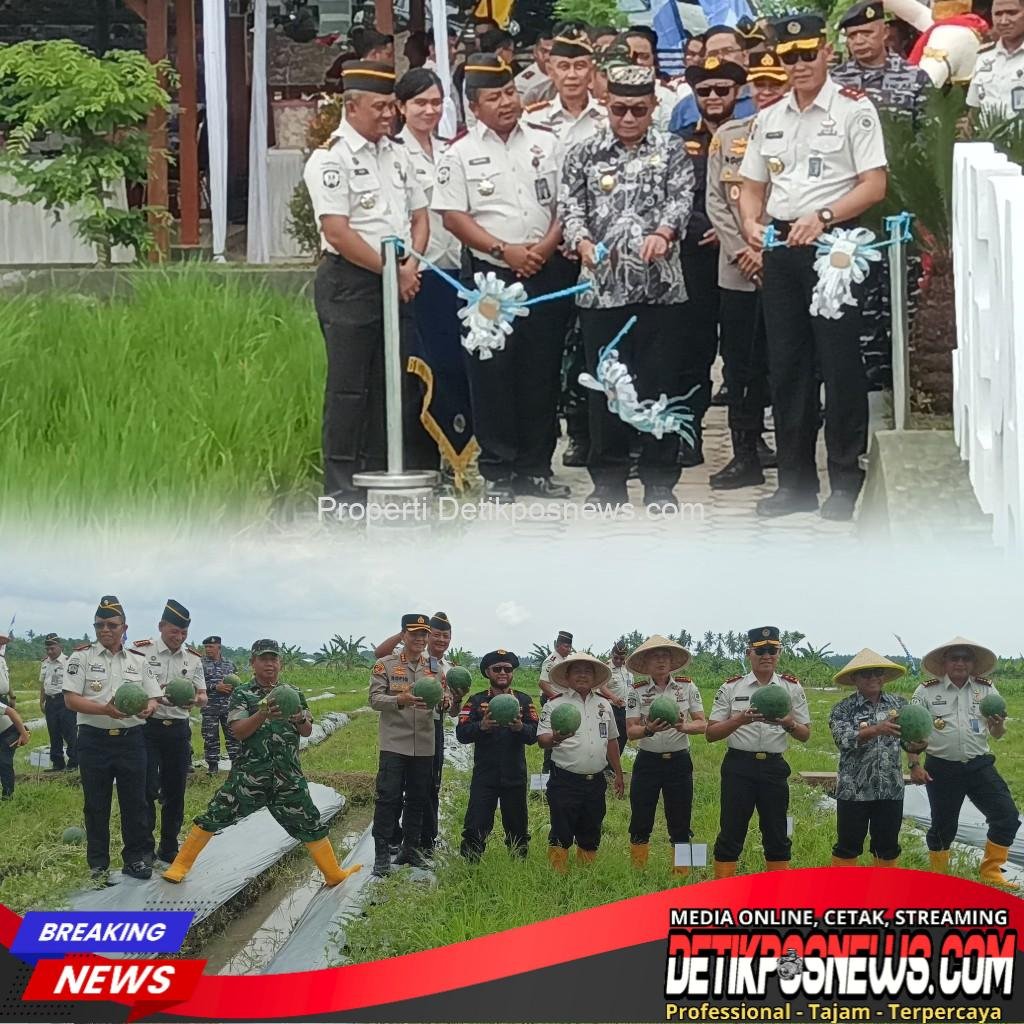 InCollage_20260115_155159224_copy_1024x1024