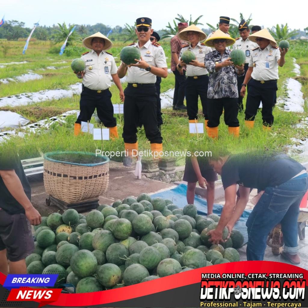 InCollage_20260115_155628556_copy_1024x1024