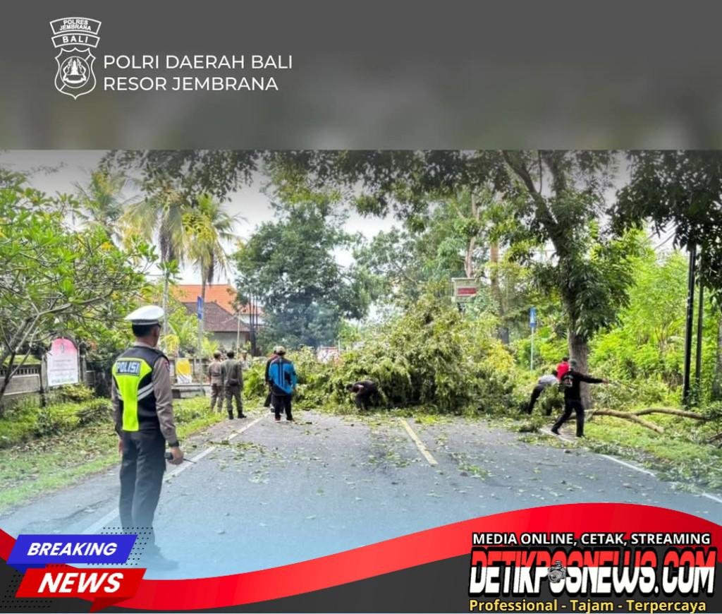 Screenshot_20260128-205459_copy_1024x870