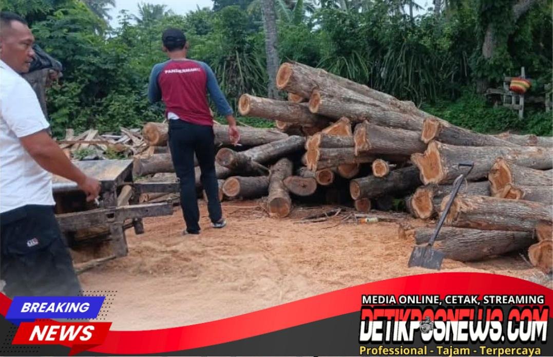 Screenshot_20260130-212919