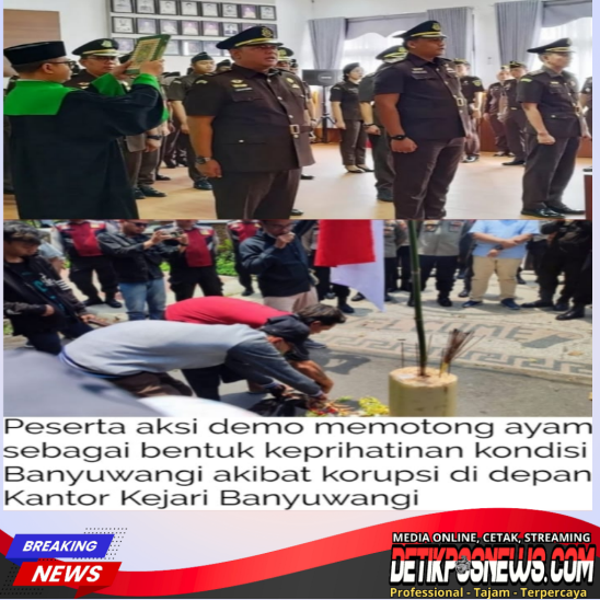 20260212_110245_778_copy_800x800_copy_548x548