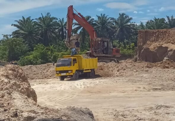 IMG-20260226-WA0000(1)