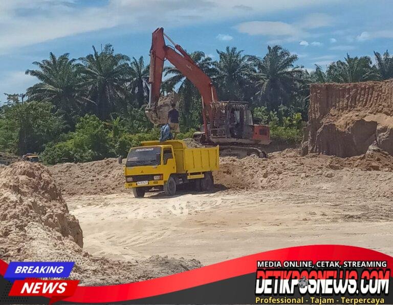 IMG-20260226-WA0000(1)