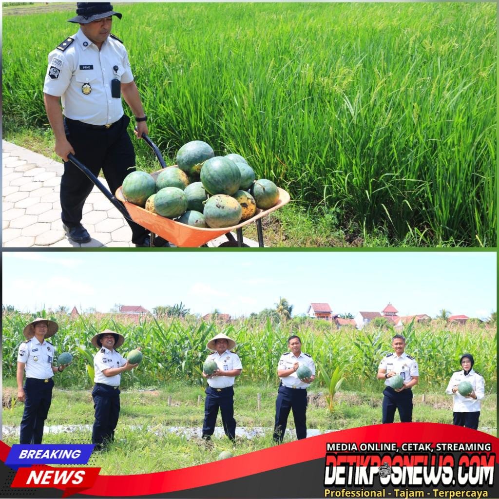 InCollage_20260202_122631106_copy_1024x1024