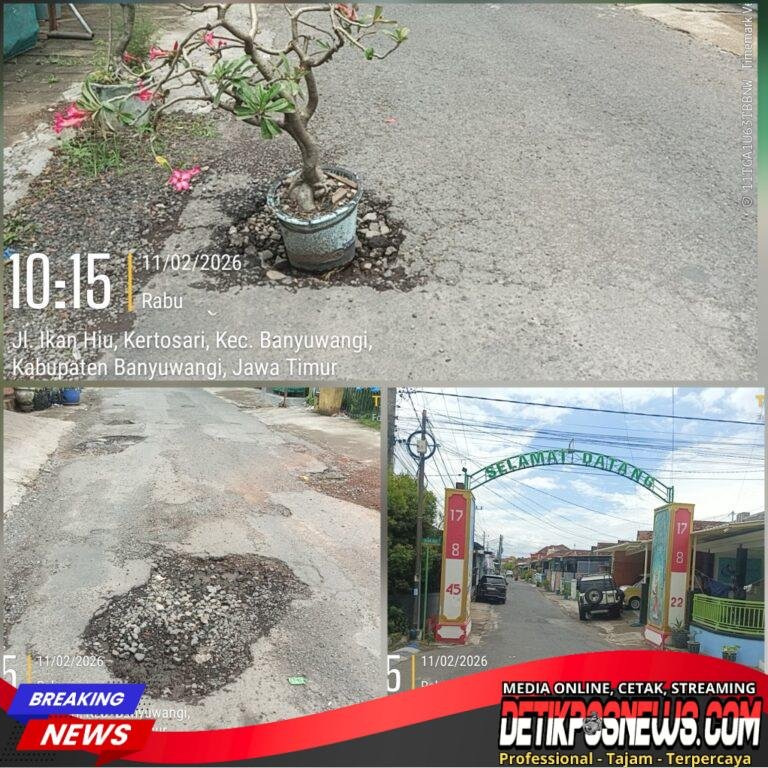 InCollage_20260211_112021229_copy_1024x1024