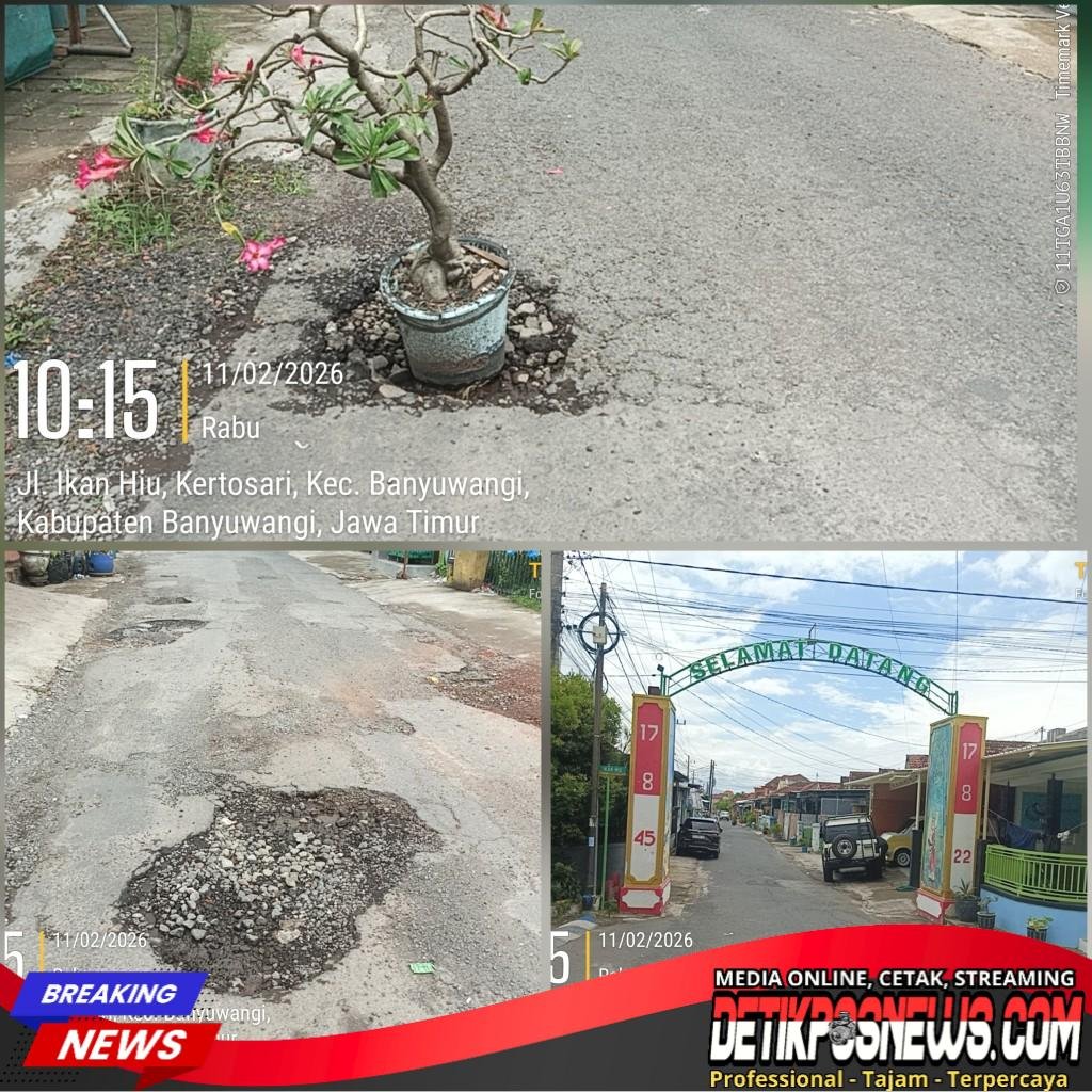 InCollage_20260211_112021229_copy_1024x1024