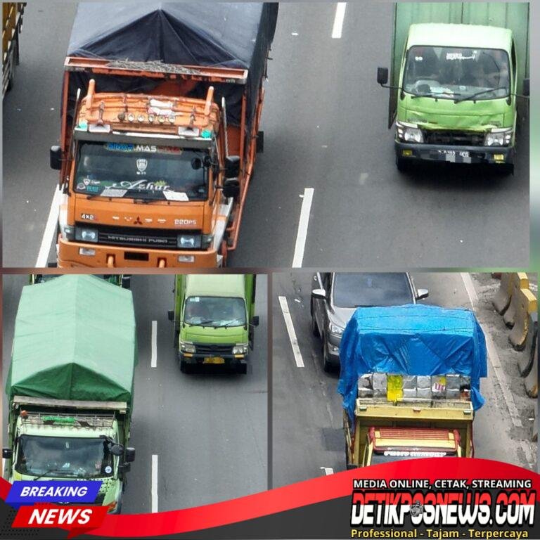 InCollage_20260215_084541689_copy_1024x1024