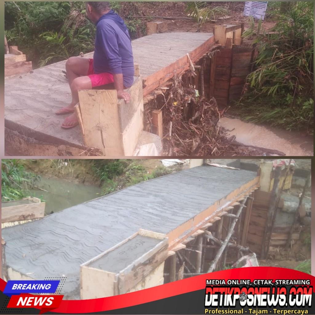 InCollage_20260216_211743365_copy_1024x1024