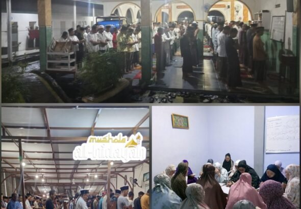 InCollage_20260218_231327299_copy_1024x1024