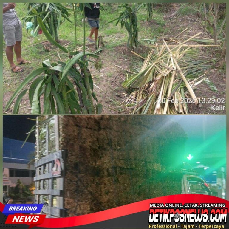 InCollage_20260221_101058758_copy_1024x1024