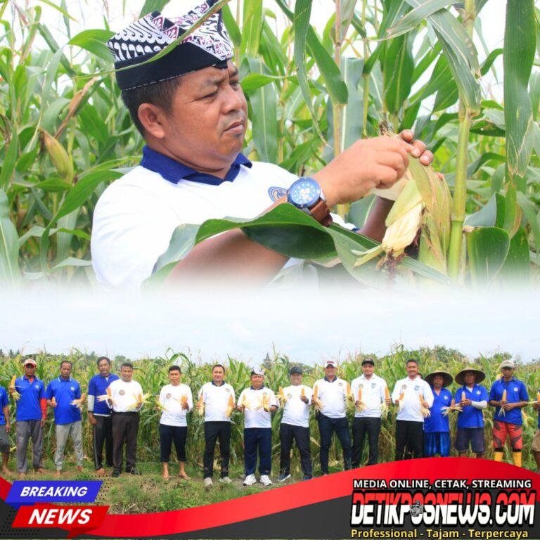 InCollage_20260221_174510110_copy_1024x1024