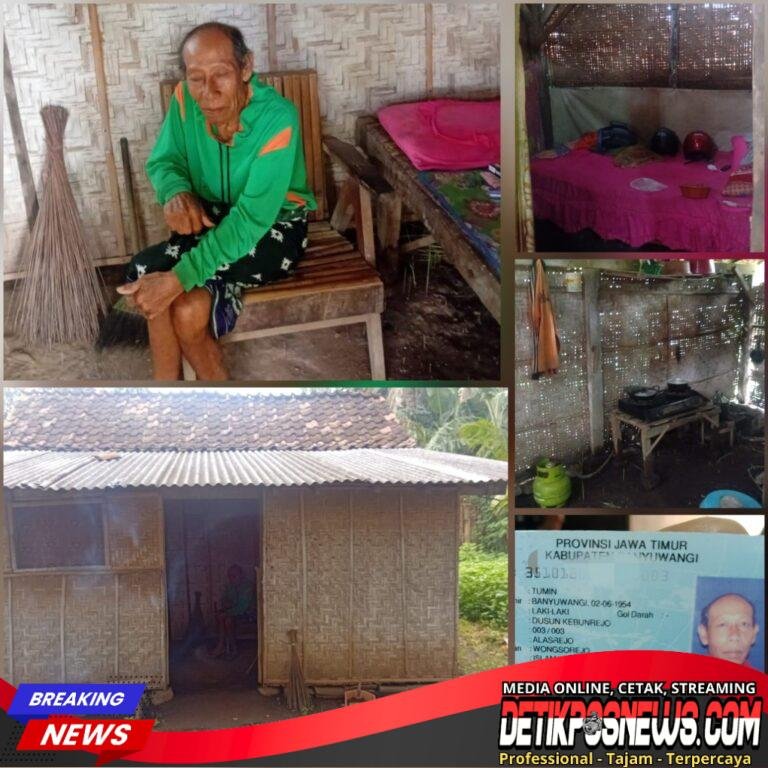 InCollage_20260222_214450413_copy_1024x1024