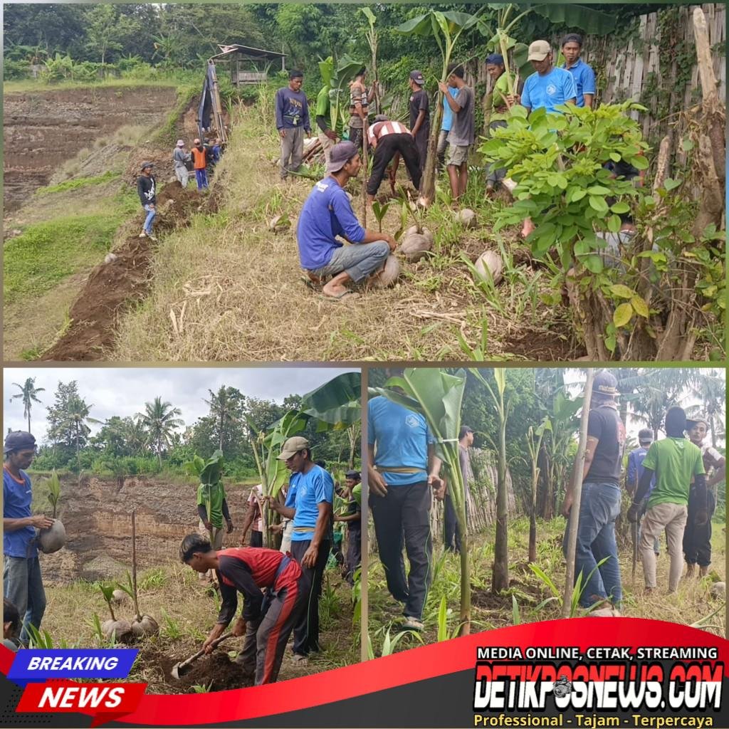 InCollage_20260223_114803104_copy_1024x1024