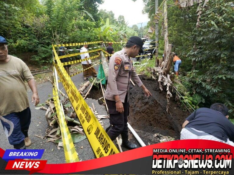 IMG-20260303-WA0014_copy_1024x768