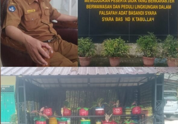 IMG-20260309-WA0020(1)