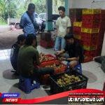 IMG-20260328-WA0016_copy_1024x813