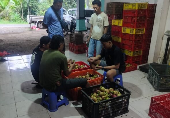 IMG-20260328-WA0016_copy_1024x813