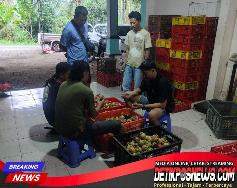 IMG-20260328-WA0016_copy_1024x813