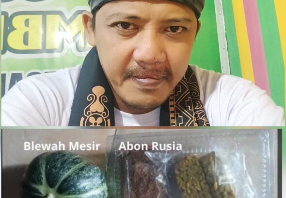 InCollage_20260302_145647444_copy_1024x1024