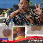 InCollage_20260311_180417599_copy_1024x1024