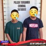 IMG-20260401-WA0044_copy_1200x1030