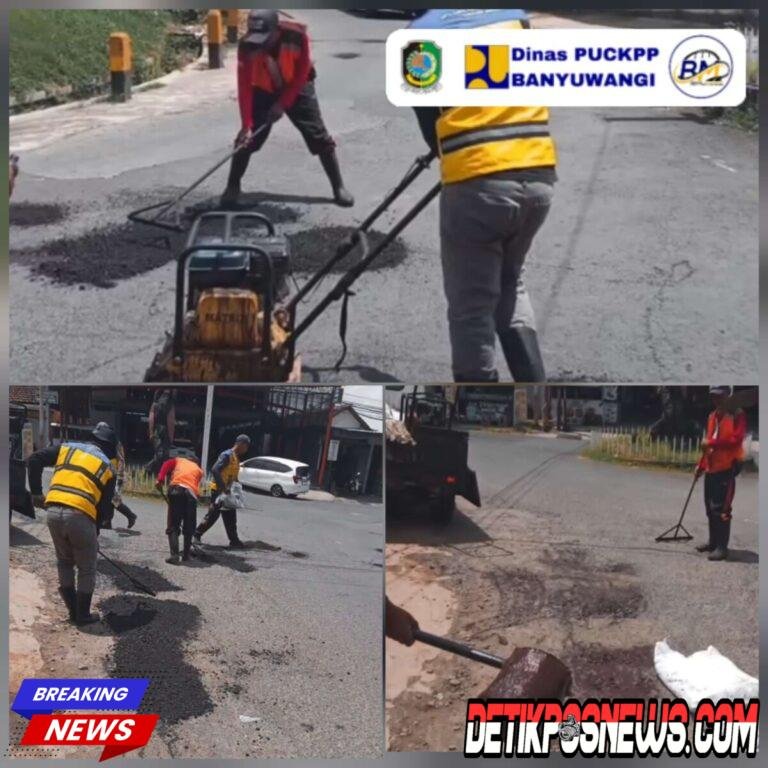 IMG-20260416-WA0040_copy_3330x3330